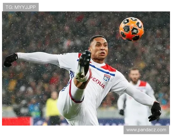 围绕里昂俱乐部探讨其历史文化与现代足球战略影响力综合研究视角